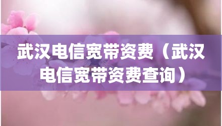 武汉电信宽带资费（武汉电信宽带资费查询）