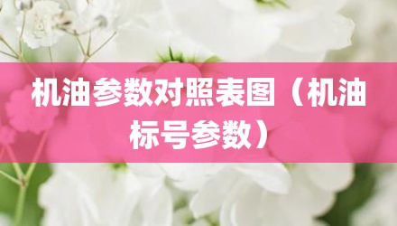 机油参数对照表图（机油标号参数）