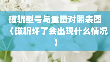 磁辊型号与重量对照表图（磁辊坏了会出现什么情况）