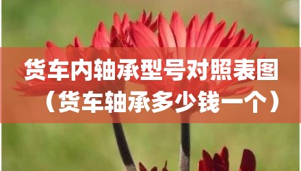 货车内轴承型号对照表图（货车轴承多少钱一个）
