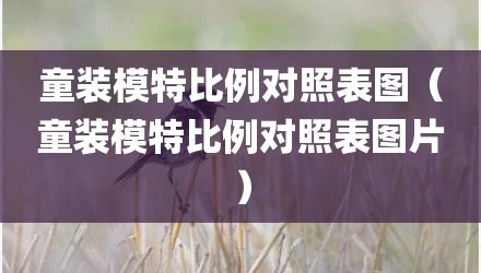 童装模特比例对照表图（童装模特比例对照表图片）