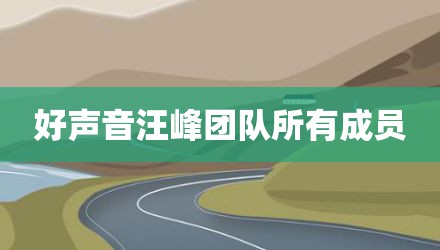 好声音汪峰团队所有成员