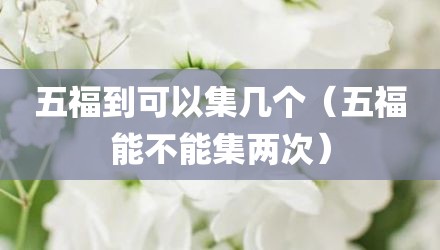 五福到可以集几个（五福能不能集两次）