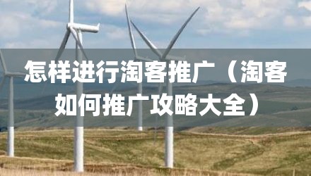 怎样进行淘客推广（淘客如何推广攻略大全）