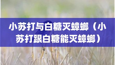 小苏打与白糖灭蟑螂（小苏打跟白糖能灭蟑螂）