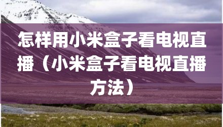 怎样用小米盒子看电视直播（小米盒子看电视直播方法）