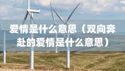 爱情是什么意思（双向奔赴的爱情是什么意思）