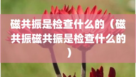 磁共振是检查什么的（磁共振磁共振是检查什么的）