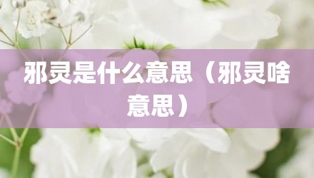 邪灵是什么意思（邪灵啥意思）