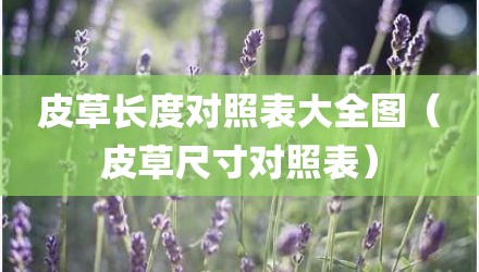 皮草长度对照表大全图（皮草尺寸对照表）