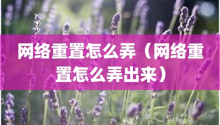 网络重置怎么弄（网络重置怎么弄出来）