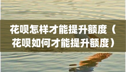 花呗怎样才能提升额度（花呗如何才能提升额度）