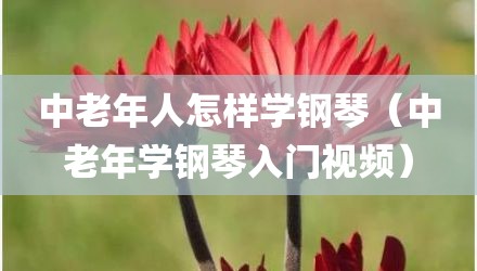 中老年人怎样学钢琴(中老年学钢琴入门视频)