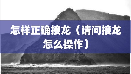 怎样正确接龙(请问接龙怎么操作)
