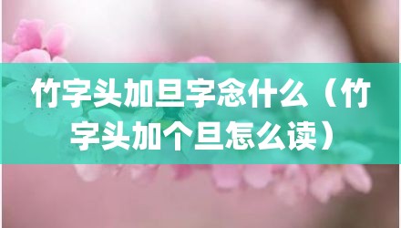 竹字头加旦字念什么（竹字头加个旦怎么读）
