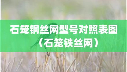 石笼钢丝网型号对照表图（石笼铁丝网）