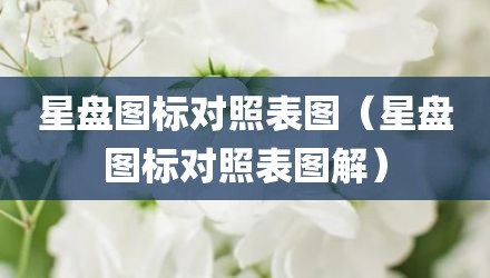 星盘图标对照表图（星盘图标对照表图解）