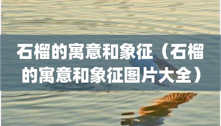石榴的寓意和象征（石榴的寓意和象征图片大全）