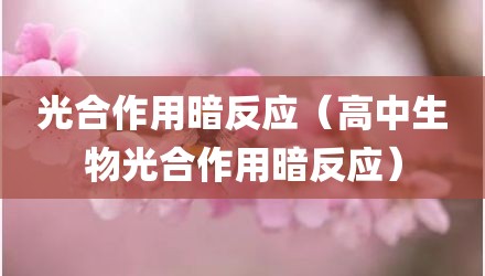 光合作用暗反应（高中生物光合作用暗反应）