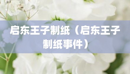 启东王子制纸（启东王子制纸事件）