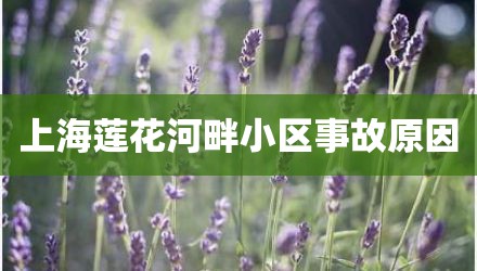 上海莲花河畔小区事故原因