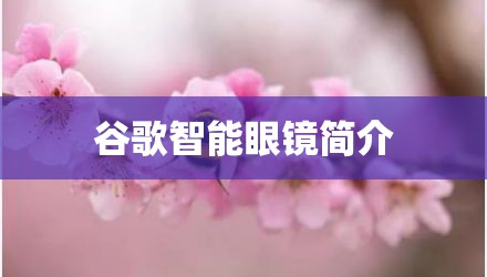 谷歌智能眼镜简介