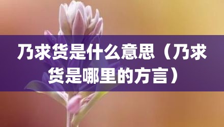 乃求货是什么意思（乃求货是哪里的方言）