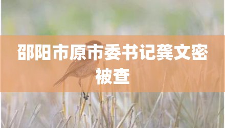 邵阳市原市委书记龚文密被查