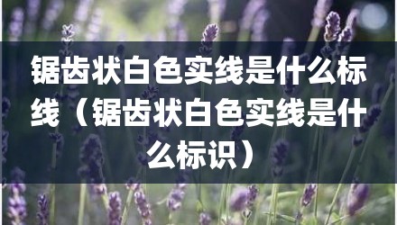 锯齿状白色实线是什么标线（锯齿状白色实线是什么标识）