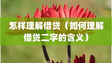 怎样理解借贷（如何理解借贷二字的含义）