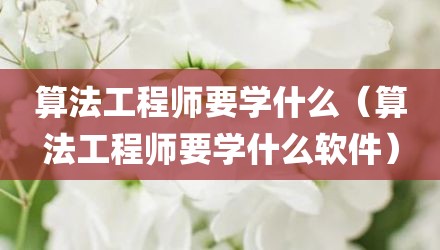 算法工程师要学什么（算法工程师要学什么软件）