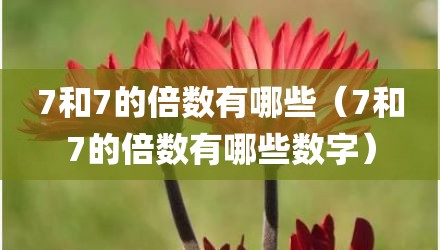 7和7的倍数有哪些（7和7的倍数有哪些数字）