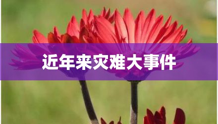 近年来灾难大事件