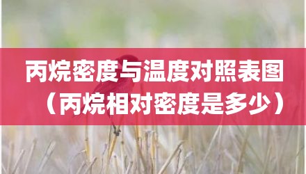 丙烷密度与温度对照表图（丙烷相对密度是多少）