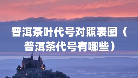普洱茶叶代号对照表图(普洱茶代号有哪些)