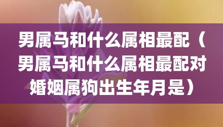 男属马和什么属相最配（男属马和什么属相最配对婚姻属狗出生年月是）