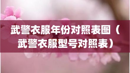 武警衣服年份对照表图(武警衣服型号对照表)
