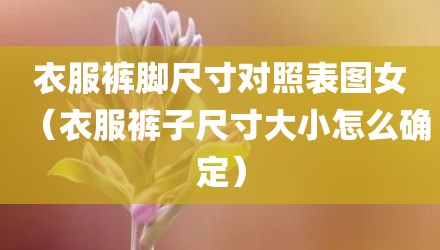 衣服裤脚尺寸对照表图女（衣服裤子尺寸大小怎么确定）