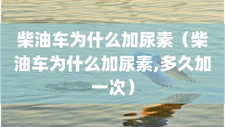 柴油车为什么加尿素（柴油车为什么加尿素,多久加一次）