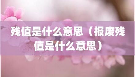 残值是什么意思（报废残值是什么意思）