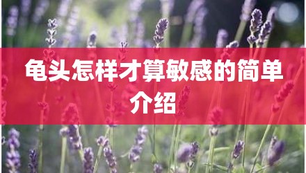 龟头怎样才算敏感的简单介绍
