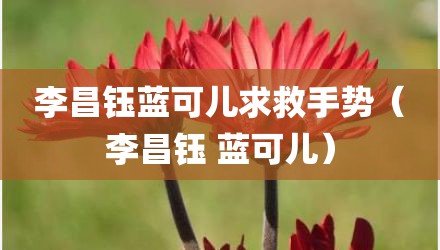 李昌钰蓝可儿求救手势（李昌钰 蓝可儿）