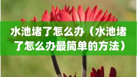 水池堵了怎么办（水池堵了怎么办最简单的方法）