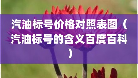 汽油标号价格对照表图（汽油标号的含义百度百科）