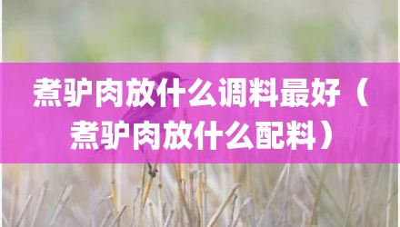 煮驴肉放什么调料最好（煮驴肉放什么配料）