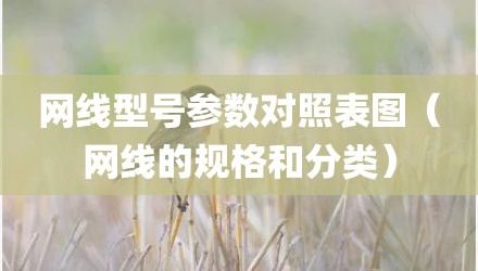 网线型号参数对照表图(网线的规格和分类)