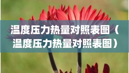温度压力热量对照表图（温度压力热量对照表图）