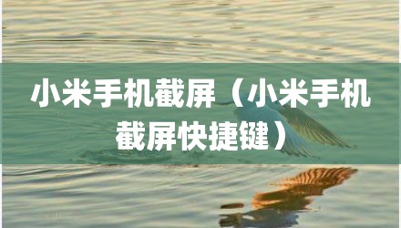 小米手机截屏（小米手机截屏快捷键）
