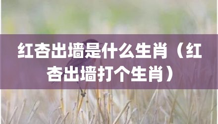 红杏出墙是什么生肖（红杏出墙打个生肖）