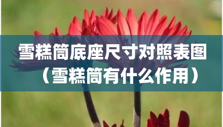 雪糕筒底座尺寸对照表图（雪糕筒有什么作用）